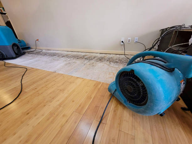 Reliable Basement Flood Cleanup contractor in Rantoul, KS by Hirex Water Damage