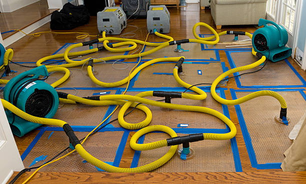 Professional Basement Flood Cleanup technician working in Rantoul, KS