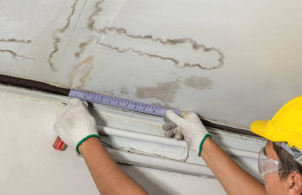 Affordable Basement Flood Cleanup solutions in Rantoul, KS